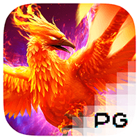Phoenix Rises  